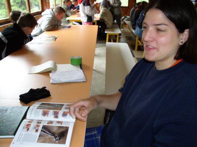 6. ervence 2005