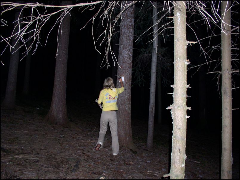 0693