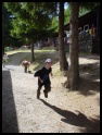Klikni pro zvětšení